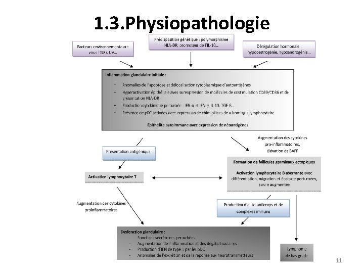 1. 3. Physiopathologie 11 