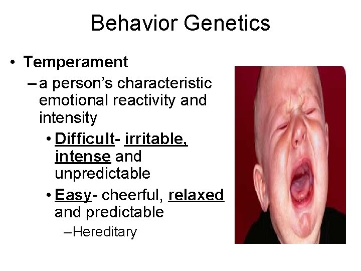 Behavior Genetics • Temperament – a person’s characteristic emotional reactivity and intensity • Difficult-