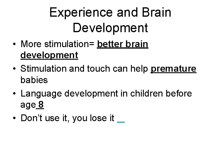 Experience and Brain Development • More stimulation= better brain development • Stimulation and touch