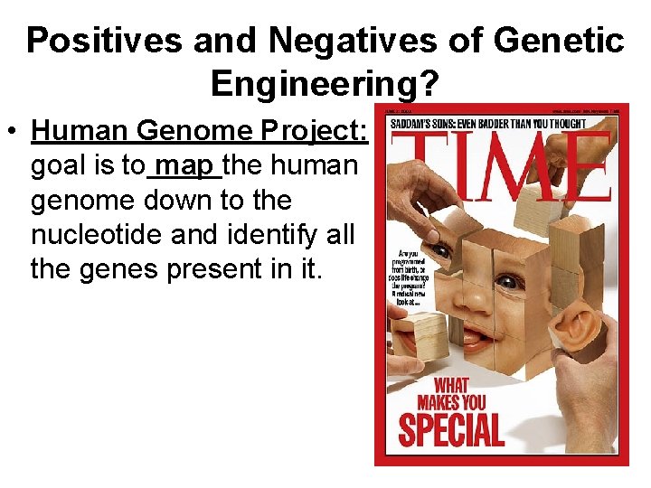 Positives and Negatives of Genetic Engineering? • Human Genome Project: goal is to map
