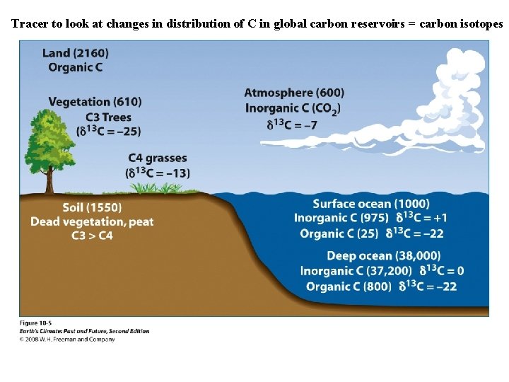 Tracer to look at changes in distribution of C in global carbon reservoirs =