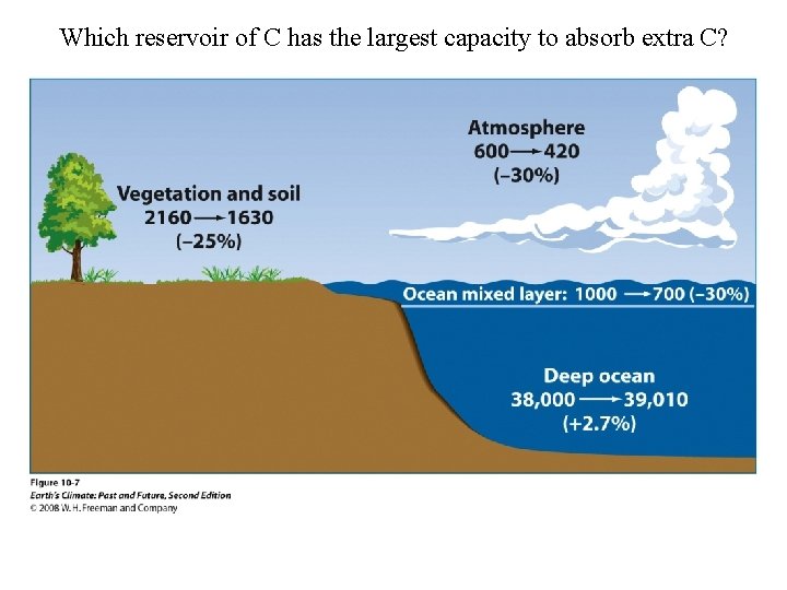 Which reservoir of C has the largest capacity to absorb extra C? 