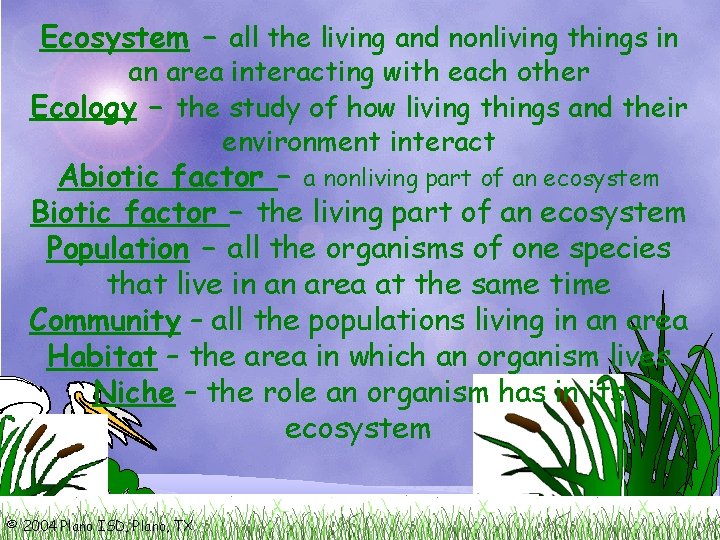 Ecosystem – all the living and nonliving things in an area interacting with each