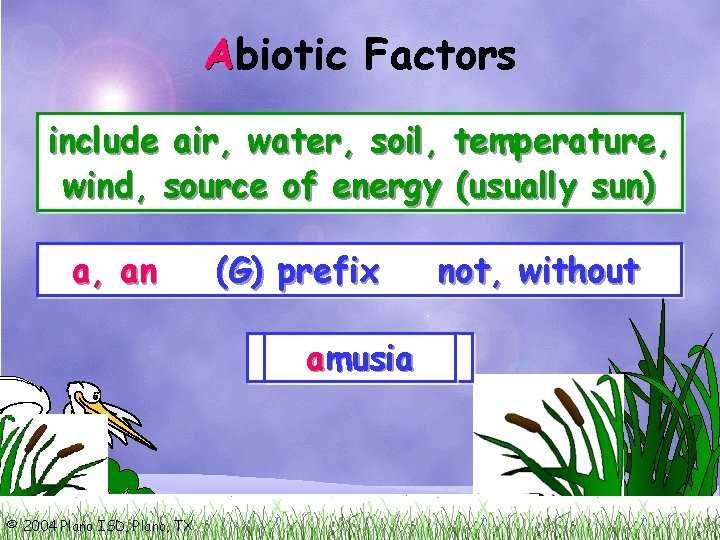 A Abiotic Factors include air, water, soil, temperature, wind, source of energy (usually sun)
