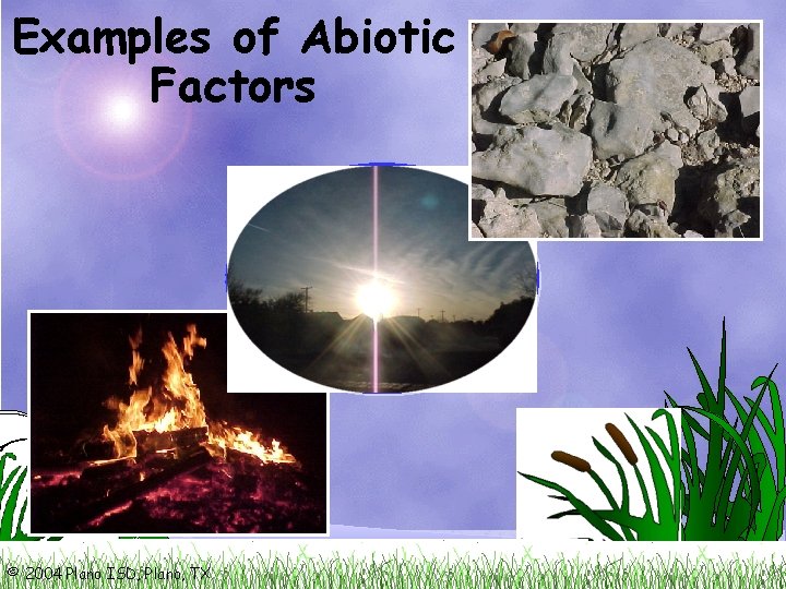 Examples of Abiotic Factors © 2004 Plano ISD, Plano, TX 