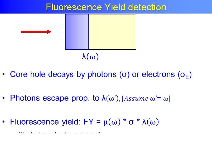 Fluorescence Yield detection • 