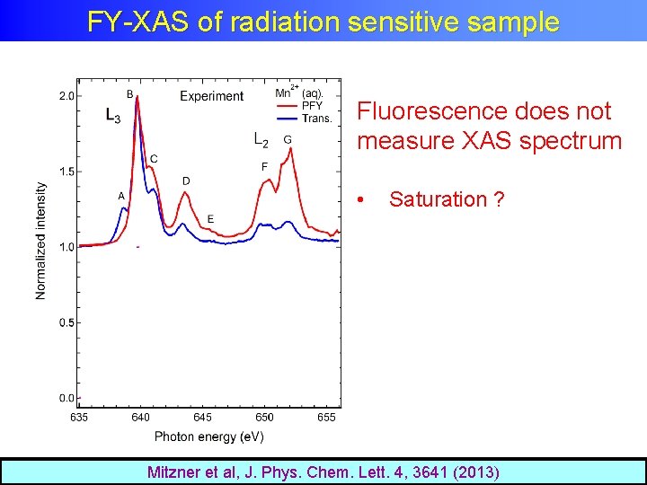 FY-XAS of radiation sensitive sample Fluorescence does not measure XAS spectrum • Saturation ?