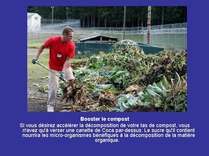 Booster le compost Si vous désirez accélérer la décomposition de votre tas de compost,