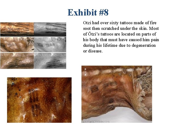 Exhibit #8 Otzi had over sixty tattoos made of fire soot then scratched under