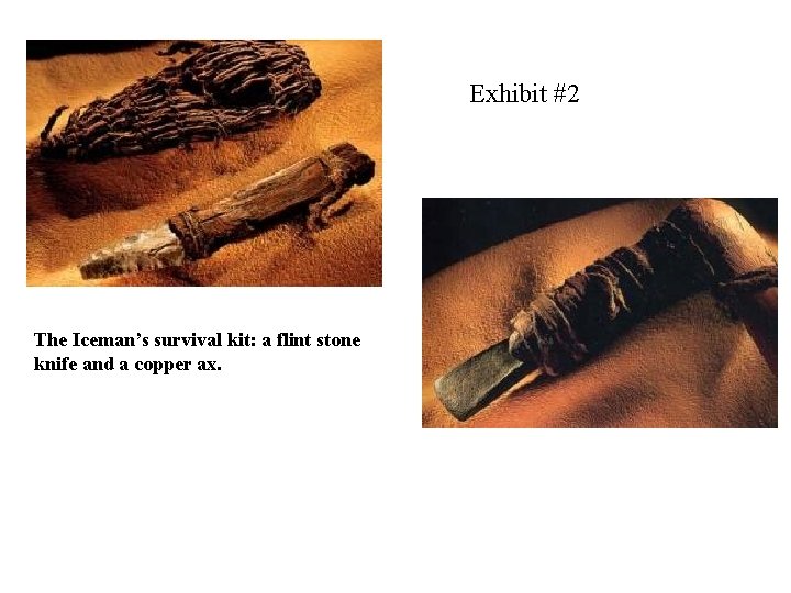 Exhibit #2 The Iceman’s survival kit: a flint stone knife and a copper ax.