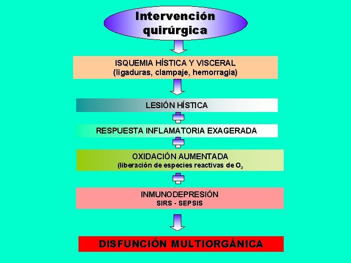 Intervención quirúrgica ISQUEMIA HÍSTICA Y VISCERAL (ligaduras, clampaje, hemorragia) LESIÓN HÍSTICA RESPUESTA INFLAMATORIA EXAGERADA
