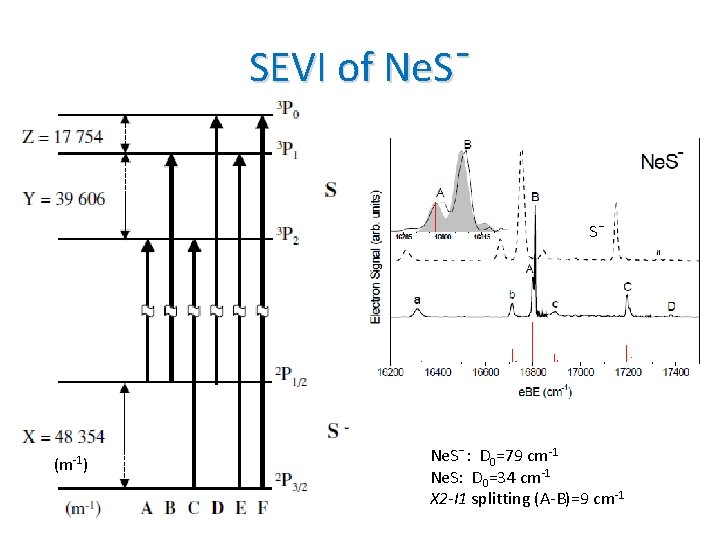 SEVI of Ne. Sˉ Sˉ (m-1) Ne. Sˉ: D 0=79 cm-1 Ne. S: D