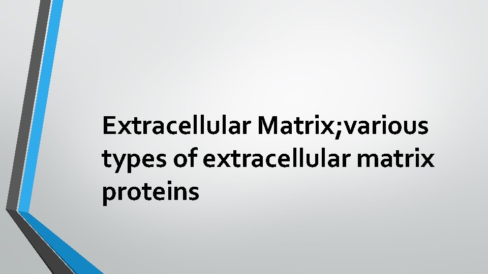 Extracellular Matrix; various types of extracellular matrix proteins 