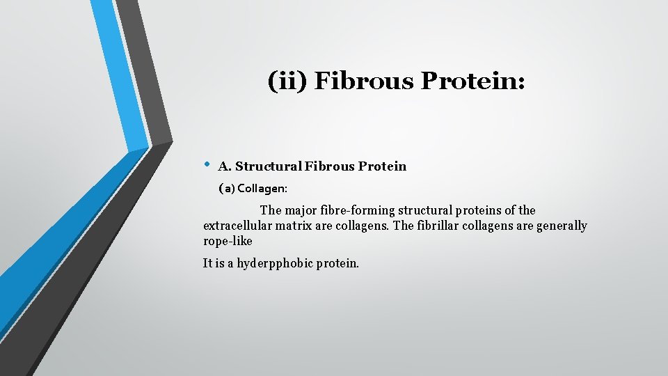 (ii) Fibrous Protein: • A. Structural Fibrous Protein (a) Collagen: The major fibre-forming structural