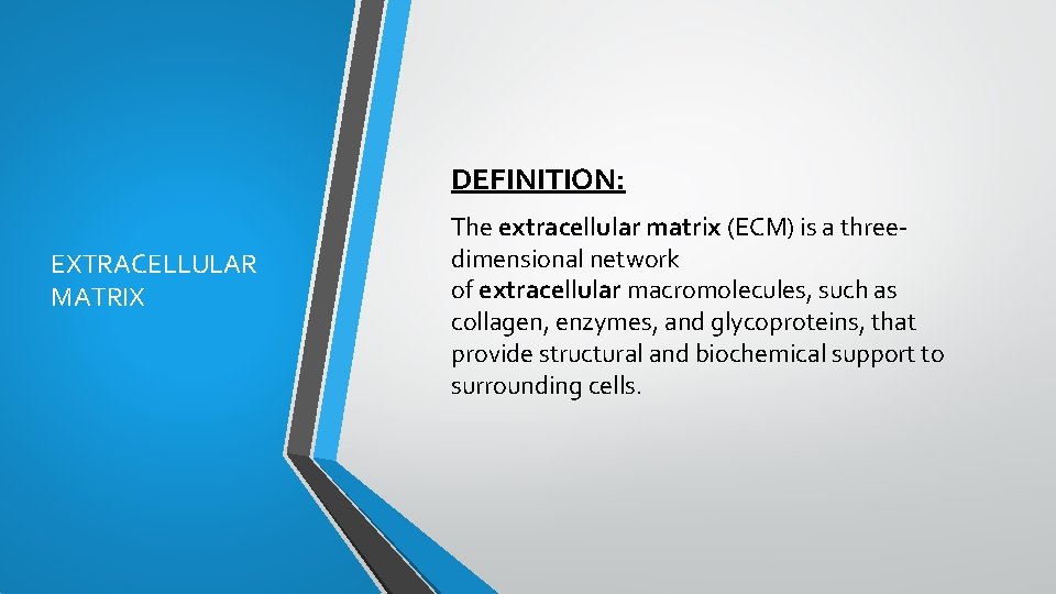 DEFINITION: EXTRACELLULAR MATRIX The extracellular matrix (ECM) is a three dimensional network of extracellular