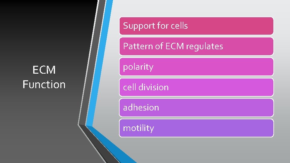 Support for cells Pattern of ECM regulates ECM Function polarity cell division adhesion motility
