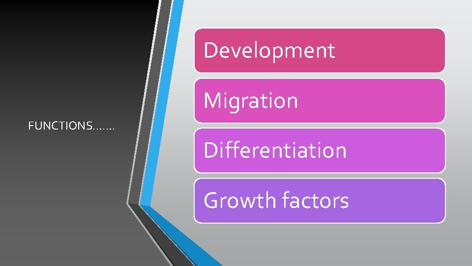 Development Migration FUNCTIONS……. Differentiation Growth factors 