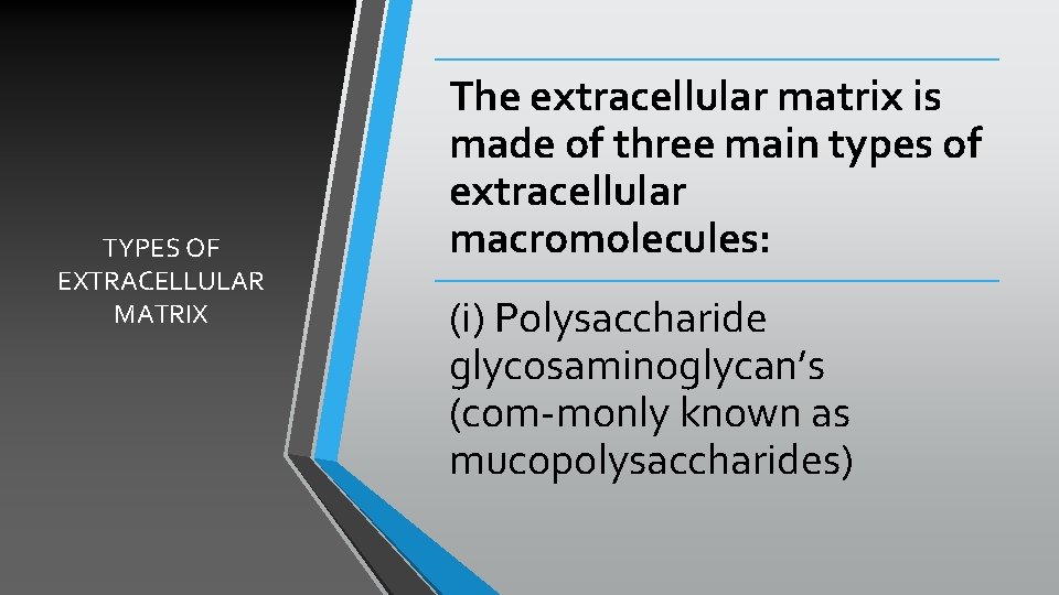 TYPES OF EXTRACELLULAR MATRIX The extracellular matrix is made of three main types of