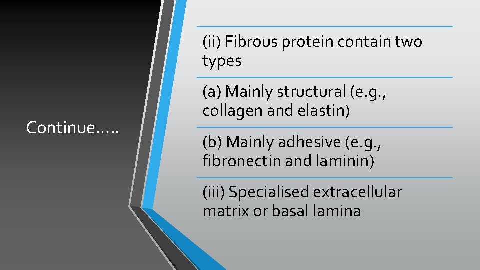 (ii) Fibrous protein contain two types Continue…. . (a) Mainly structural (e. g. ,