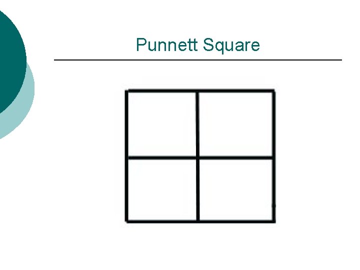 Punnett Square 