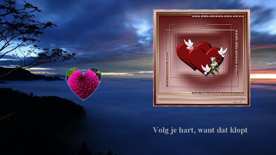 Volg je hart, want dat klopt 