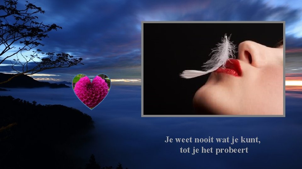 Je weet nooit wat je kunt, tot je het probeert 