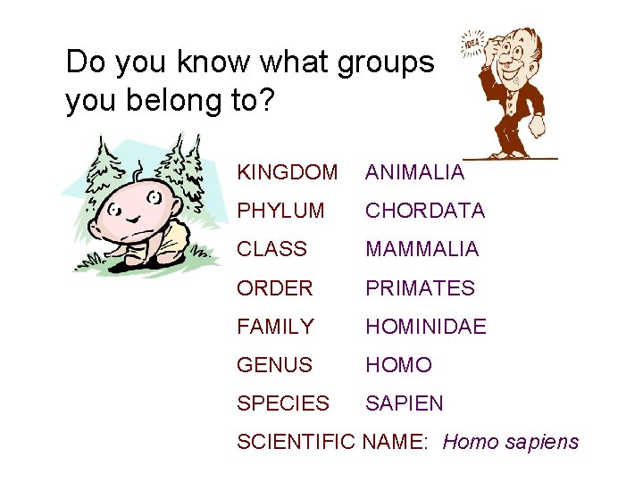 Do you know what groups you belong to? KINGDOM ANIMALIA PHYLUM CHORDATA CLASS MAMMALIA