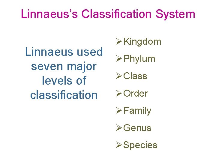 Linnaeus’s Classification System Linnaeus used seven major levels of classification ØKingdom ØPhylum ØClass ØOrder