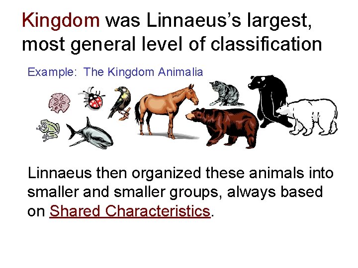 Kingdom was Linnaeus’s largest, most general level of classification Example: The Kingdom Animalia Linnaeus