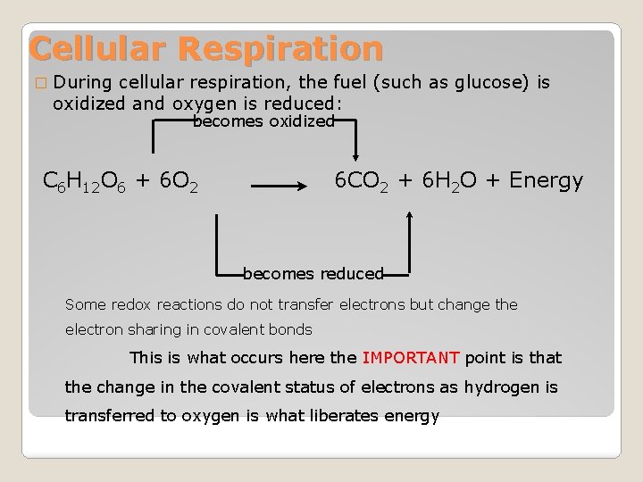Cellular Respiration � During cellular respiration, the fuel (such as glucose) is oxidized and
