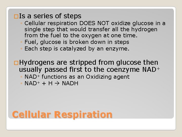 �Is a series of steps ◦ Cellular respiration DOES NOT oxidize glucose in a
