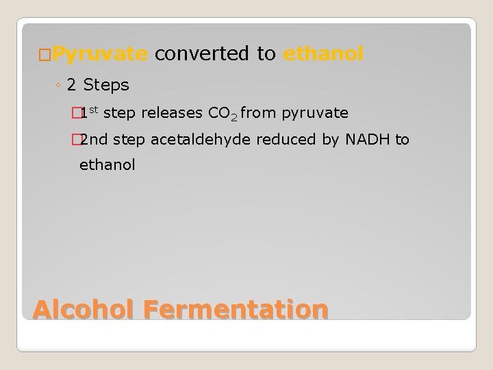 �Pyruvate converted to ethanol ◦ 2 Steps � 1 st step releases CO 2