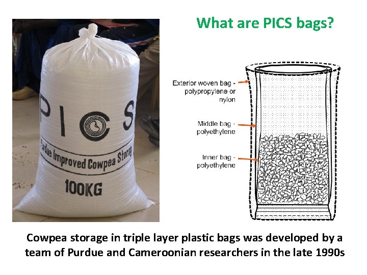 What are PICS bags? Cowpea storage in triple layer plastic bags was developed by