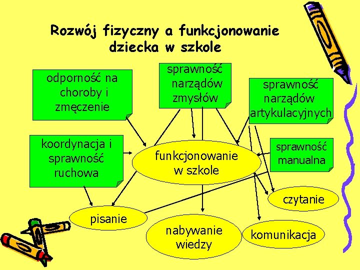 Rozwój fizyczny a funkcjonowanie dziecka w szkole odporność na choroby i zmęczenie koordynacja i