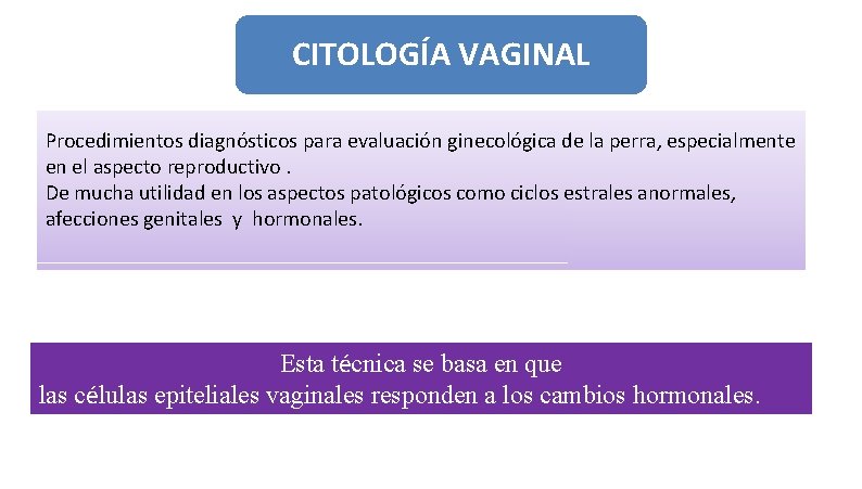 CITOLOGÍA VAGINAL Procedimientos diagnósticos para evaluación ginecológica de la perra, especialmente en el aspecto