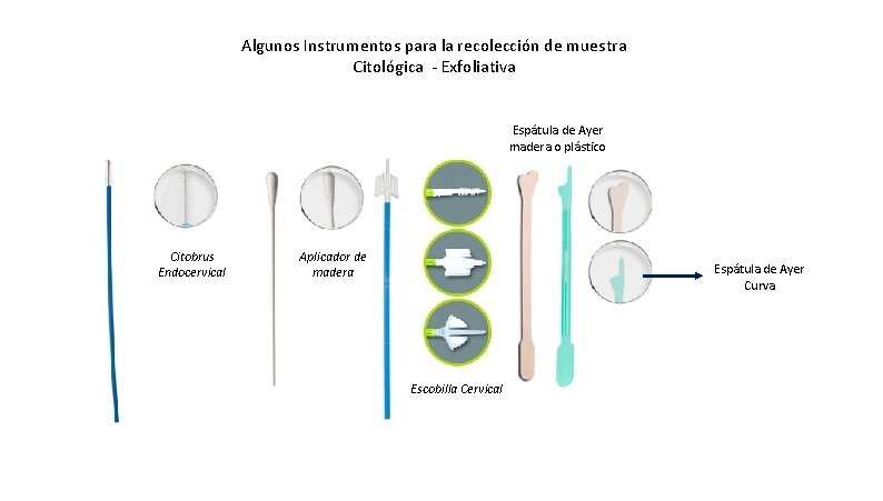 Algunos Instrumentos para la recolección de muestra Citológica - Exfoliativa Espátula de Ayer madera