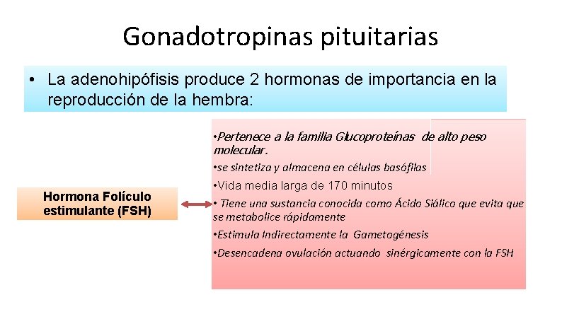 Gonadotropinas pituitarias • La adenohipófisis produce 2 hormonas de importancia en la reproducción de