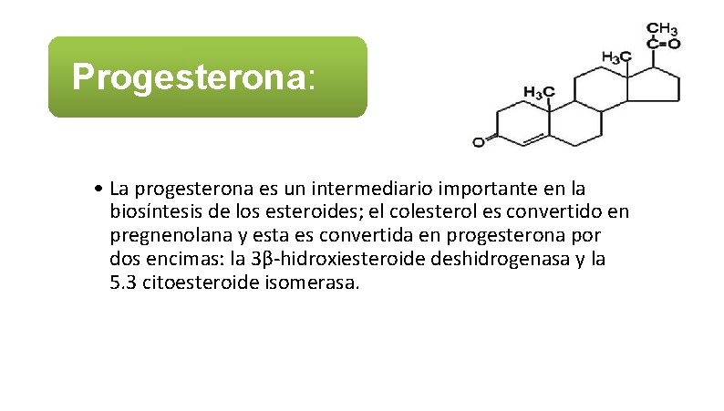 Progesterona: • La progesterona es un intermediario importante en la biosíntesis de los esteroides;