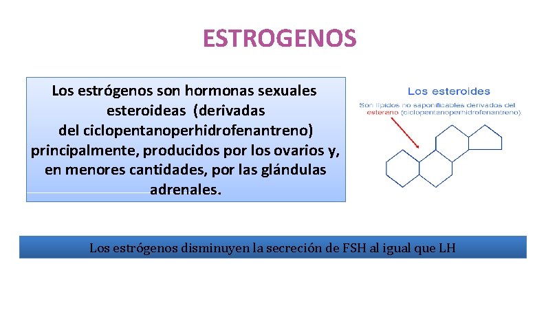 ESTROGENOS Los estrógenos son hormonas sexuales esteroideas (derivadas del ciclopentanoperhidrofenantreno) principalmente, producidos por los