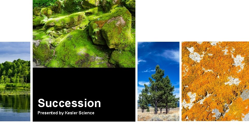 Succession Presented by Kesler Science 