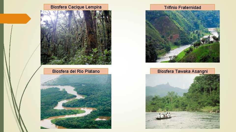 Biosfera Cacique Lempira Trifinio Fraternidad Biosfera del Rio Plátano Biosfera Tawaka Asangni 