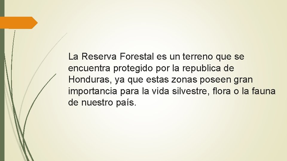 La Reserva Forestal es un terreno que se encuentra protegido por la republica de
