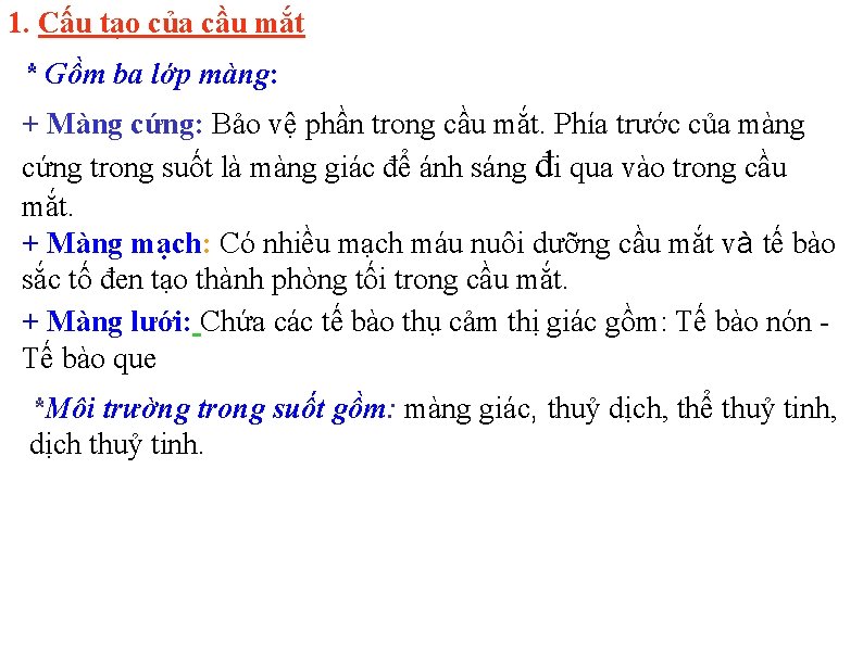 1. Cấu tạo của cầu mắt * Gồm ba lớp màng: + Màng cứng: