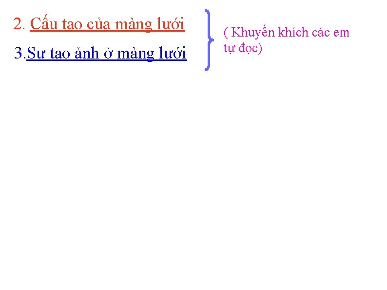 2. Cấu tạo của màng lưới 3. Sự tạo ảnh ở màng lưới (