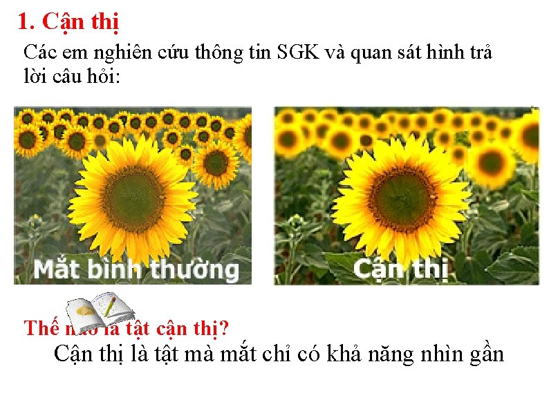 1. Cận thị Các em nghiên cứu thông tin SGK và quan sát hình