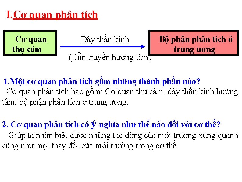 I. Cơ quan phân tích Cơ quan thụ cảm Dây thần kinh (Dẫn truyền