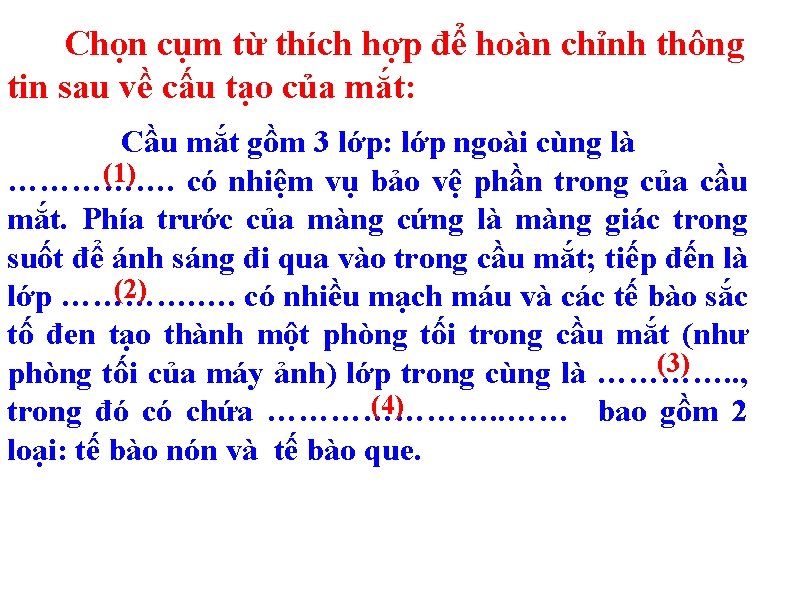 Chọn cụm từ thích hợp để hoàn chỉnh thông tin sau về cấu tạo