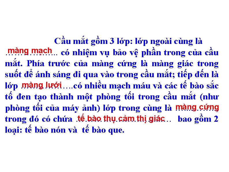 Cầu mắt gồm 3 lớp: lớp ngoài cùng là màng mạch có nhiệm vụ