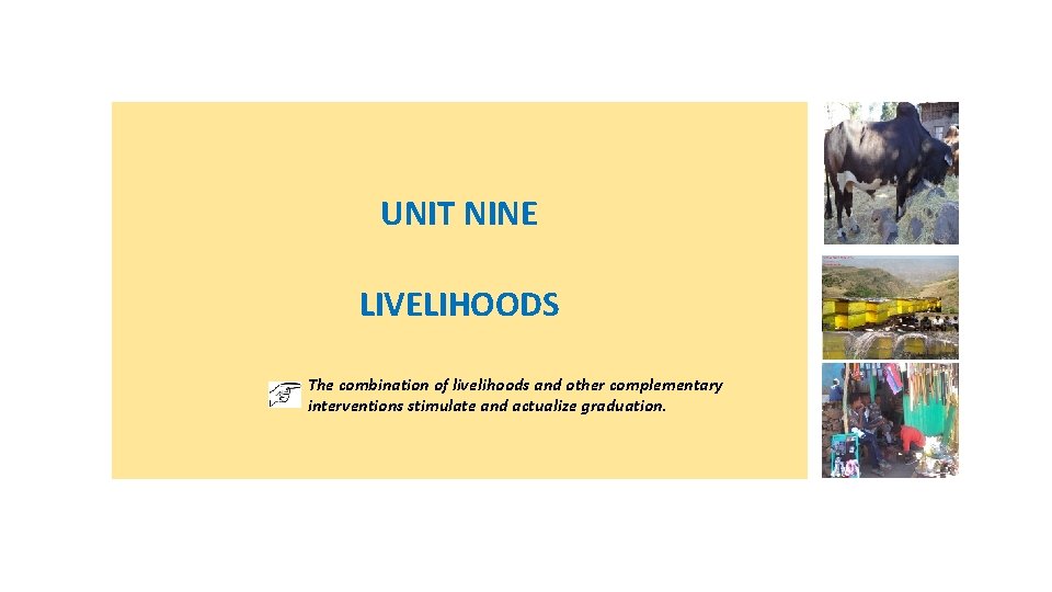 UNIT NINE LIVELIHOODS The combination of livelihoods and other complementary interventions stimulate and actualize