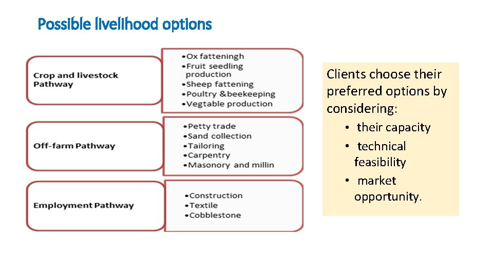 Possible livelihood options Clients choose their preferred options by considering: • their capacity •